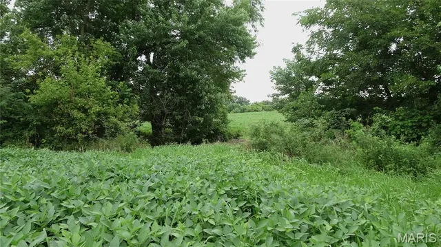 $225,000 | Tbd West Tbd W 182nd Street, Eagleville, MO 64442