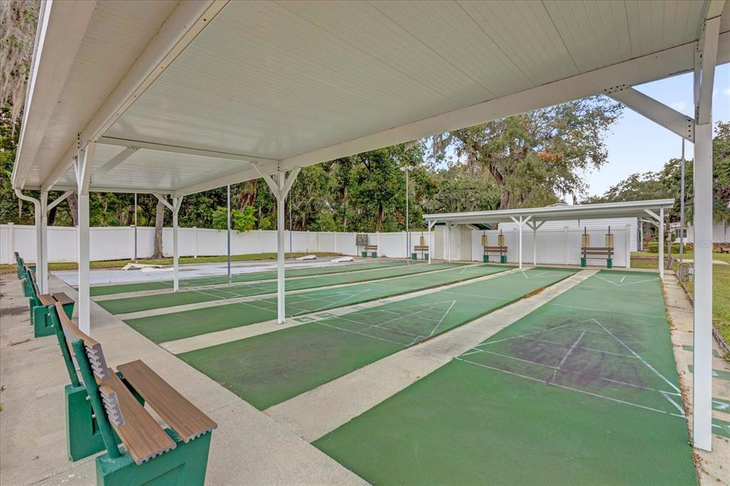 415 South Timber Trail Wildwood, FL 34785 - Photo 31 of 52 a view of a backyard