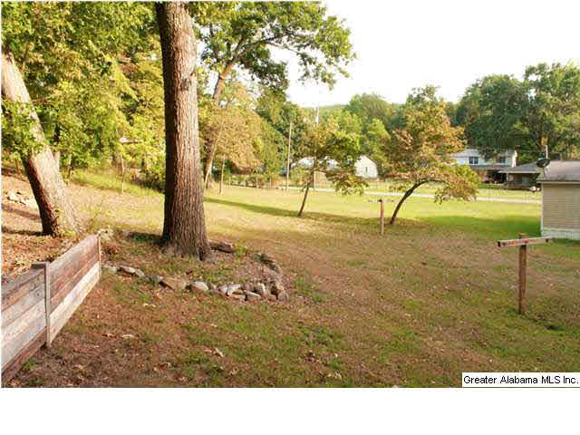 145 Lena Lane Anniston, AL 36201 - Photo 8 of 22