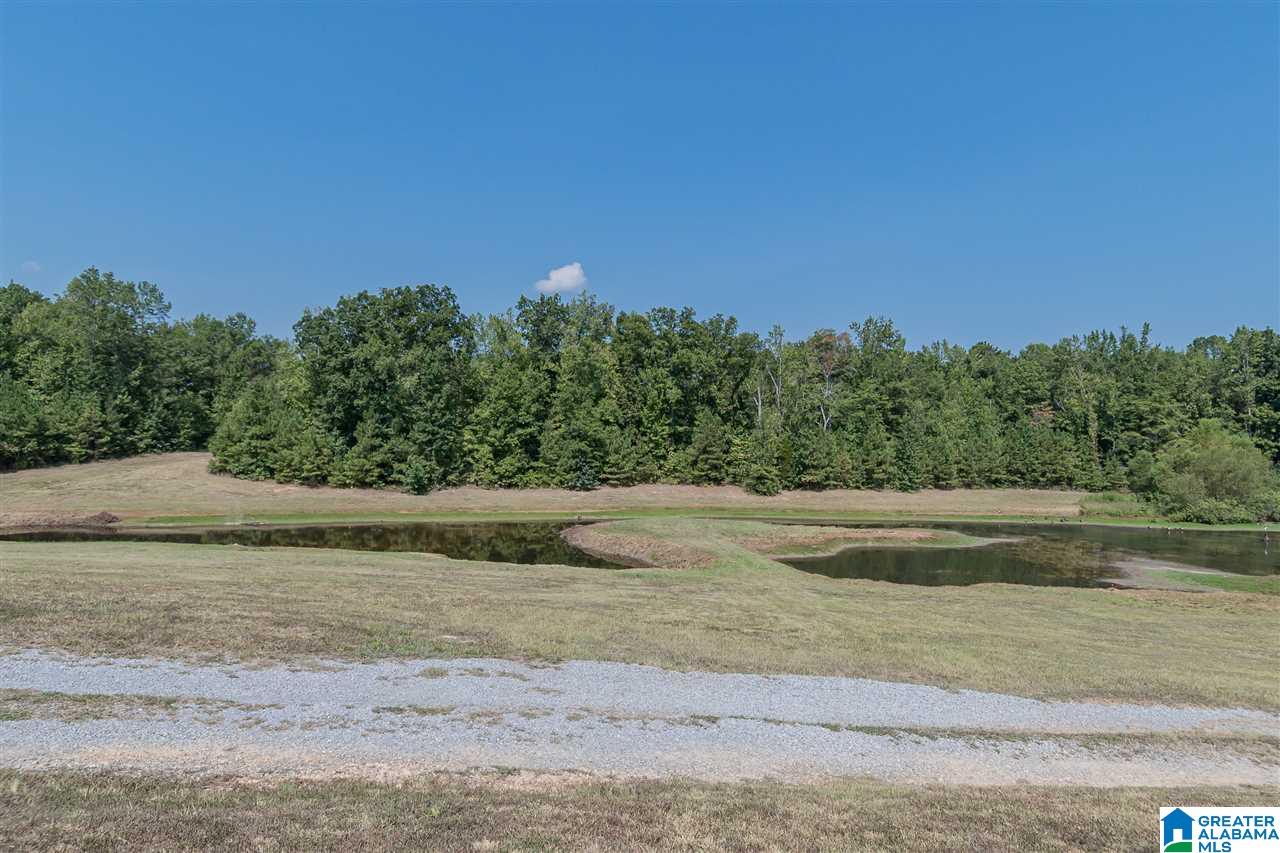 94 Rose Road Vincent, AL 35178 - Photo 39 of 40