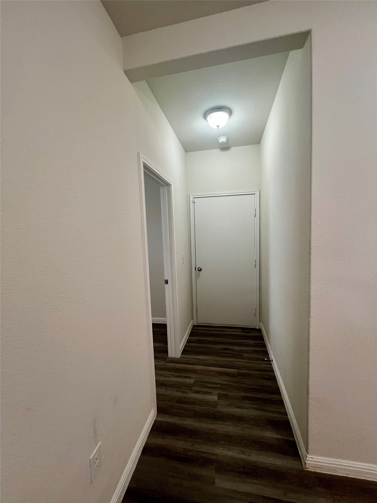 104 Moravia Road Georgetown, TX 78626 - Photo 5 of 36 A well-lit corridor welcomes you home with durable plank flooring.