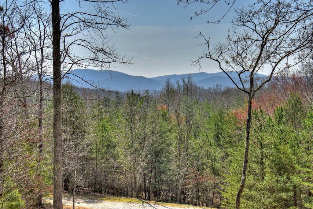 108 Toccoa Farm Hts Road Morganton, GA 30560 - Photo 2 of 41 Gallery Image 2