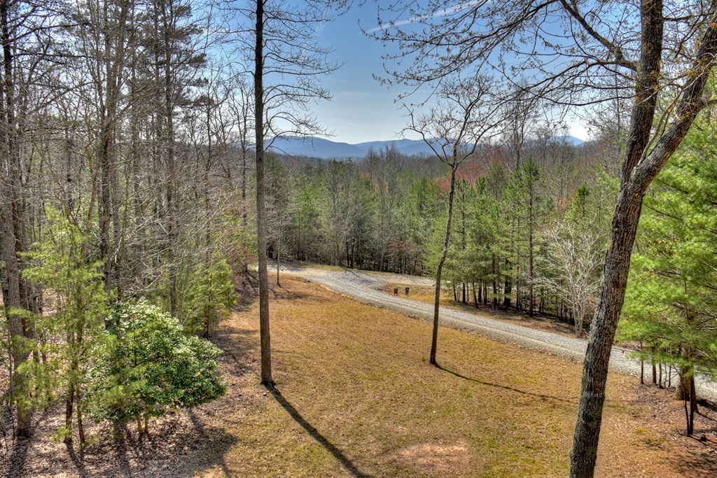 108 Toccoa Farm Hts Road Morganton, GA 30560 - Photo 32 of 41 Gallery Image 32