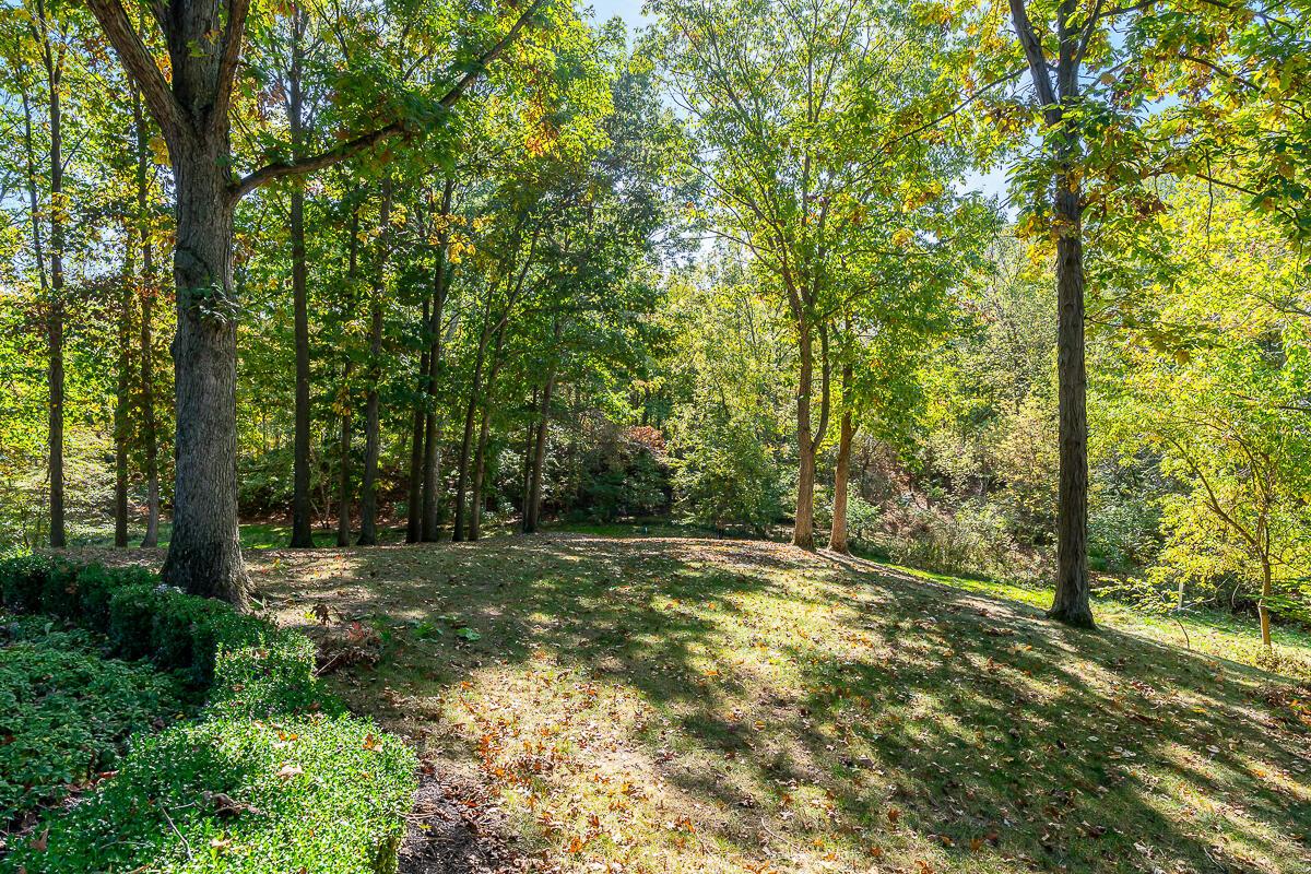 345 Shale Ridge Court Powell, OH 43065 - Photo 39 of 41 345_Shale_Ridge_Ct-back