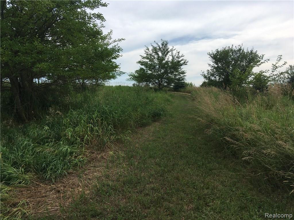 10955 Bethel Church Road Manchester, MI 48158 - Photo 33 of 39 southwest.jpg