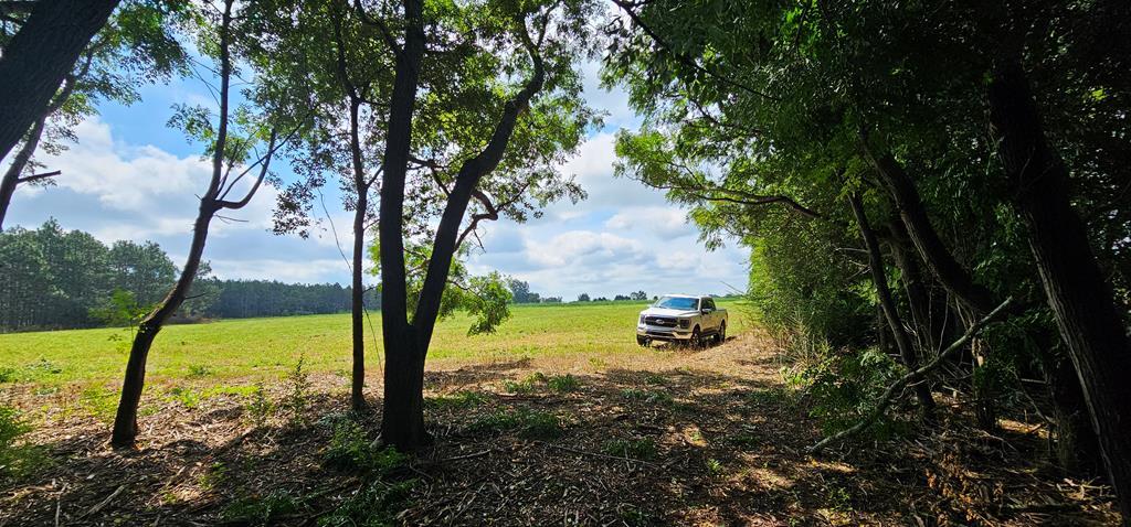 10.69-acres Summer Road Slocomb, AL 36375 - Photo 5 of 51