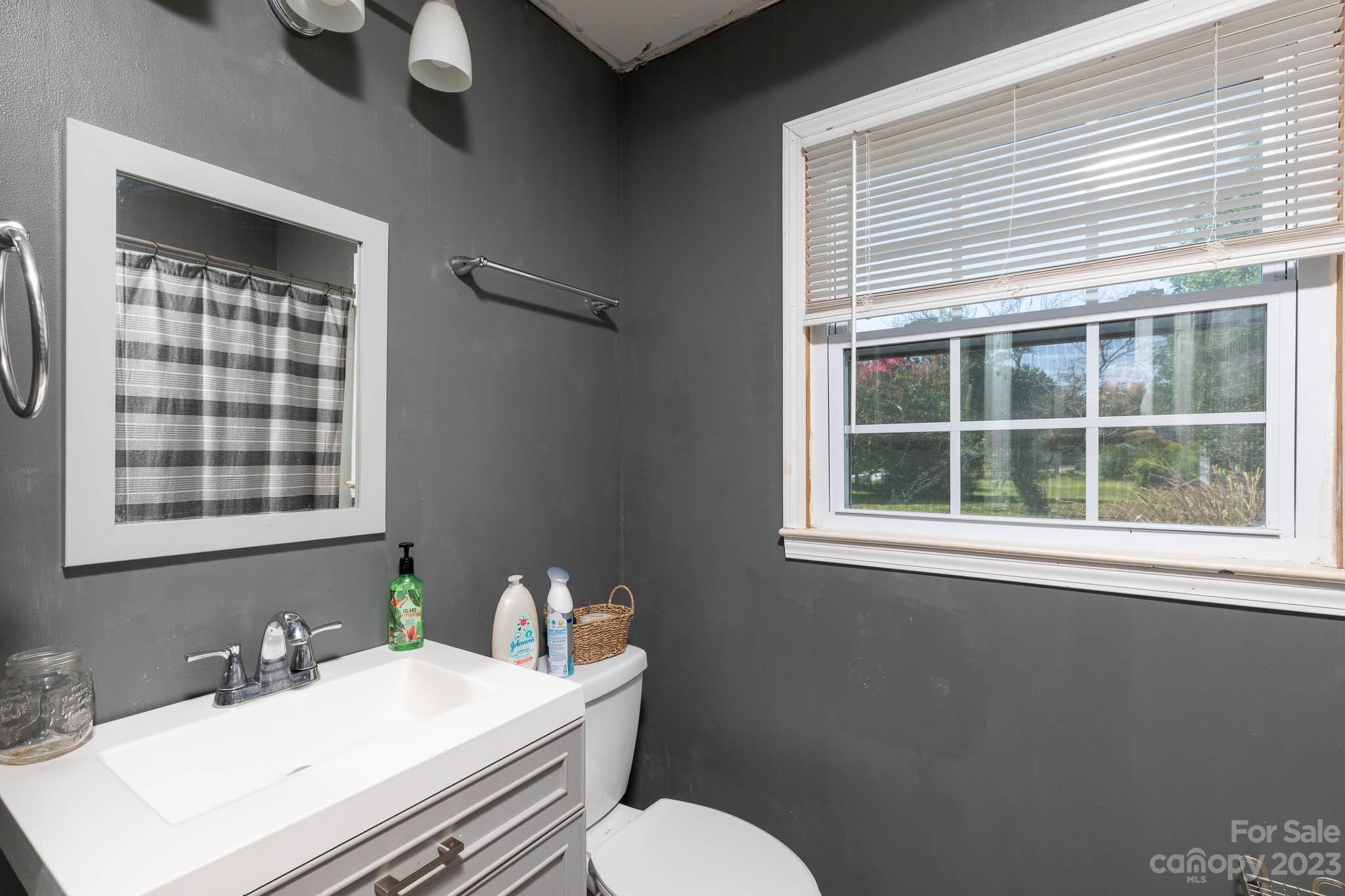 1494 Shiloh Unity Road Lancaster, SC 29720 - Photo 12 of 23 a bathroom with a sink a toilet and a window