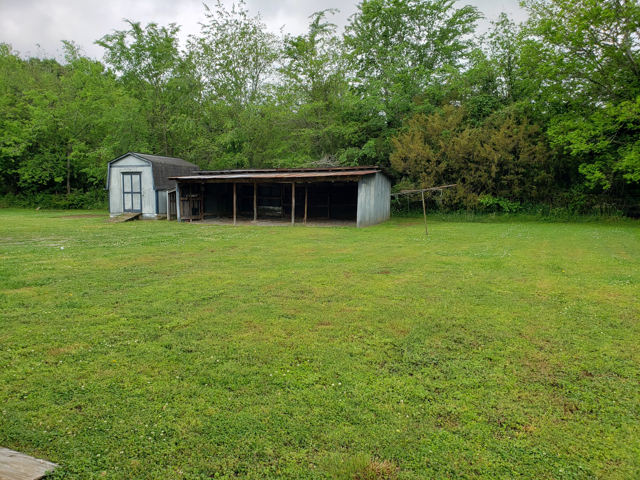 814 Miles Road Pulaski, TN 38478 - Photo 33 of 35 a view of a backyard with large trees