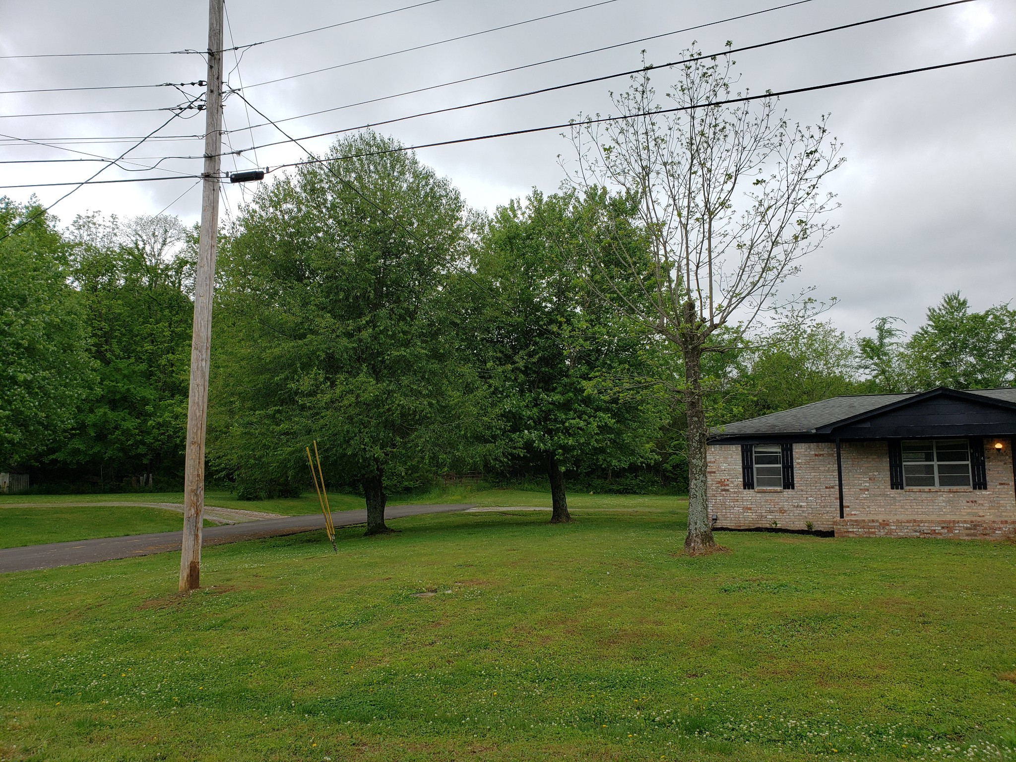 814 Miles Road Pulaski, TN 38478 - Photo 34 of 35 a backyard of a house with lots of green space