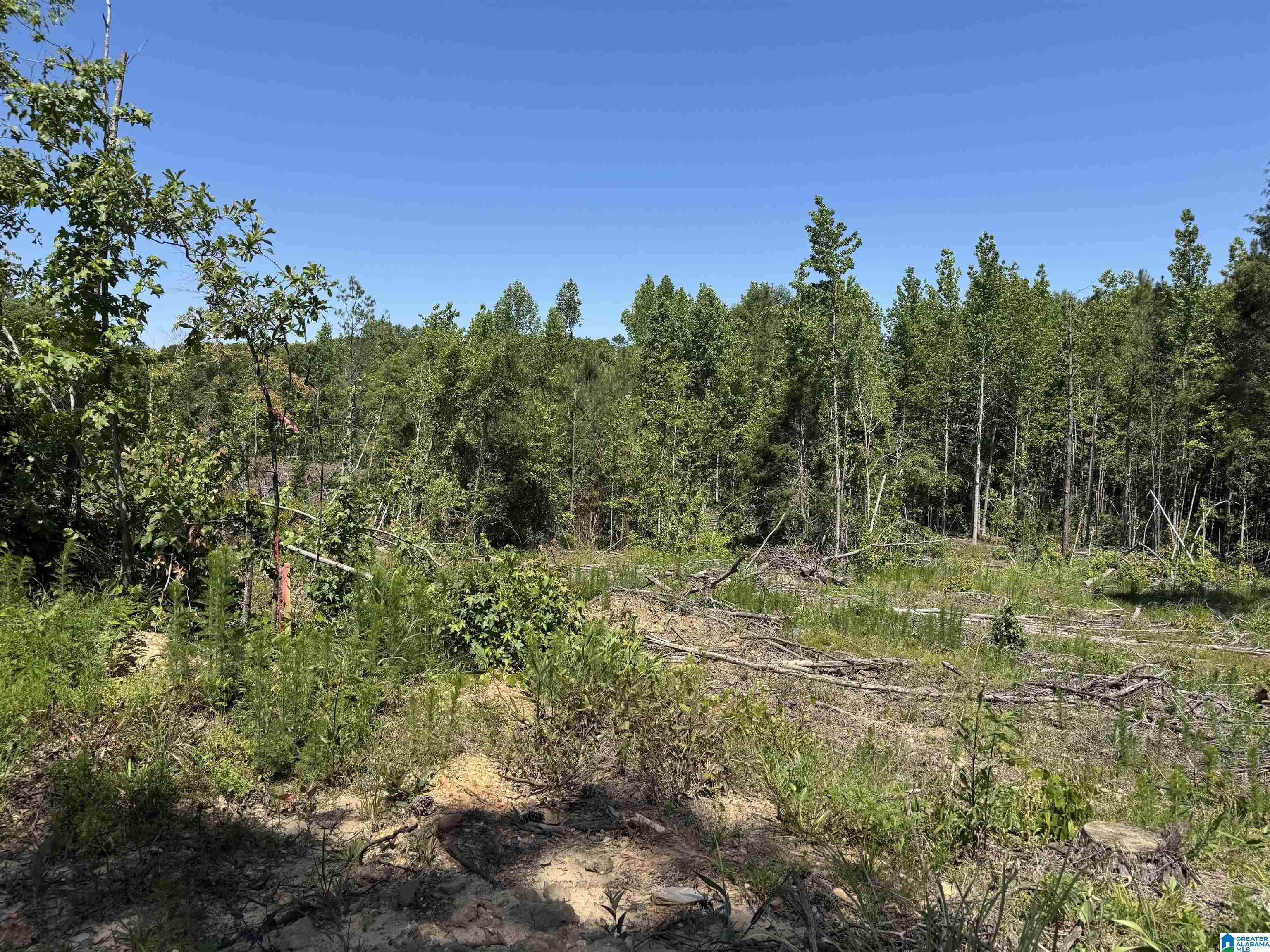 Active Road, Unit 4 Lawley, AL 36793 - Photo 3 of 12