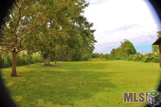 982-983 Aragon Road Montegut, LA 70377 - Photo 13 of 45 Shade Trees