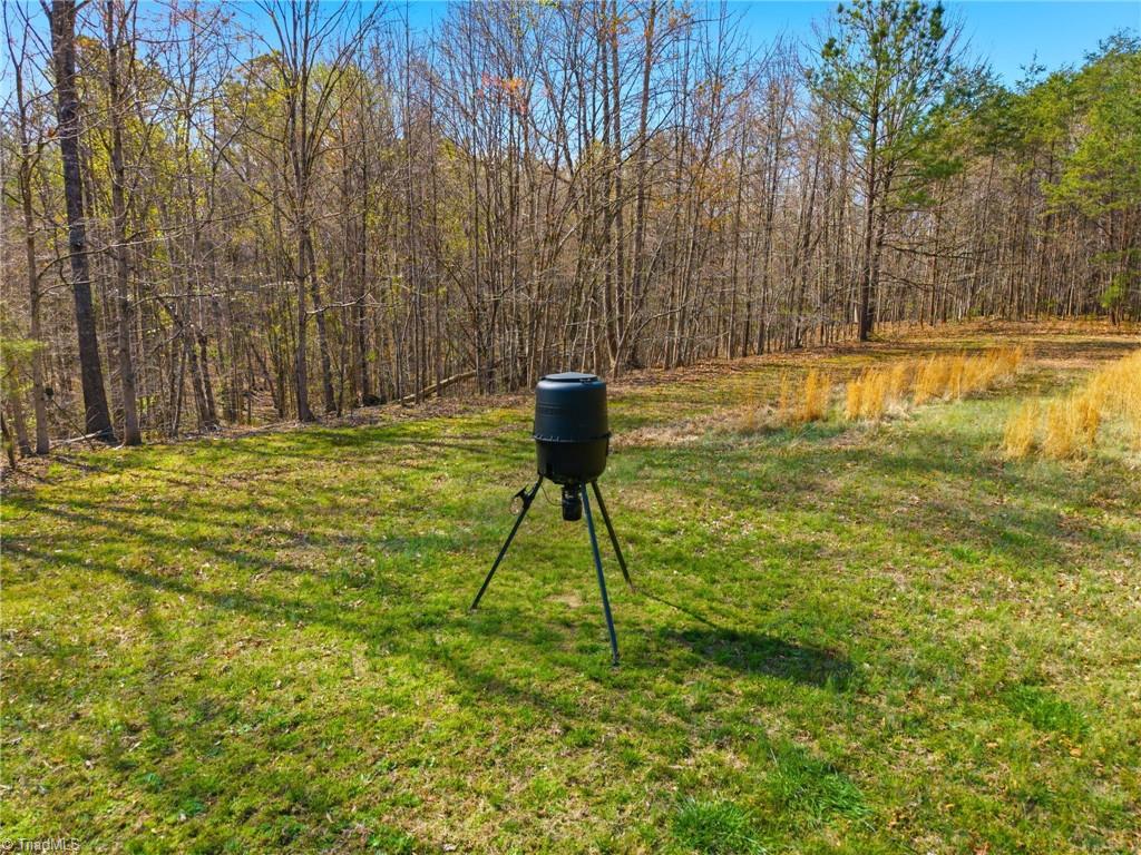 1011 Comer Road Stoneville, NC 27048 - Photo 34 of 37