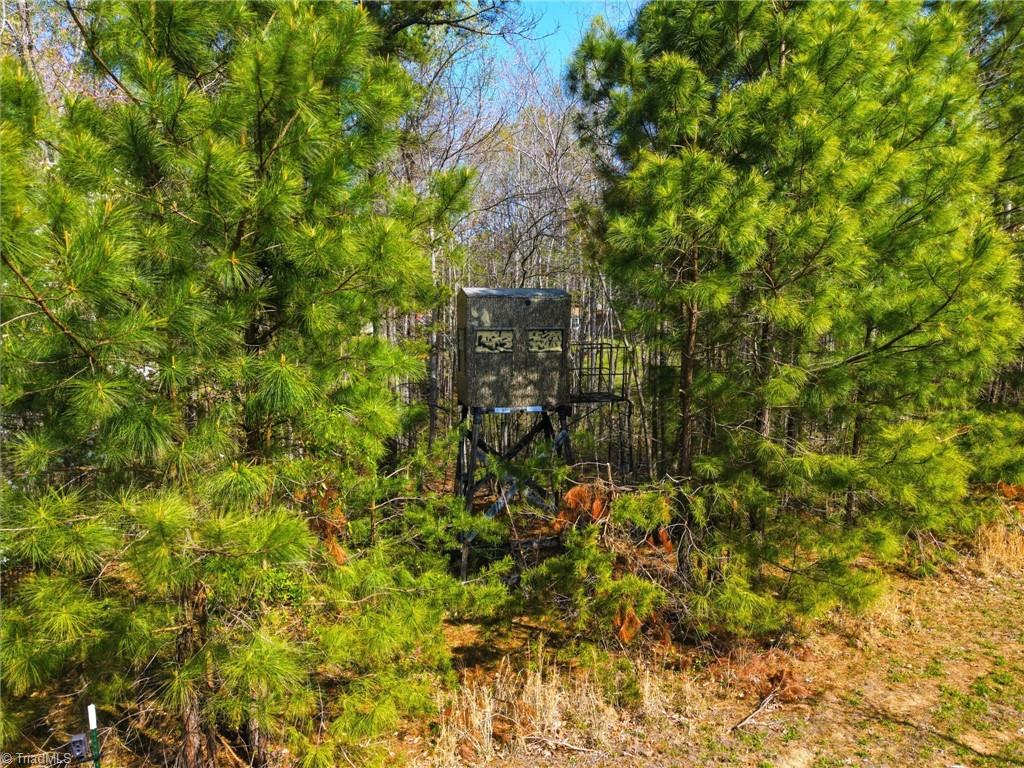 1011 Comer Road Stoneville, NC 27048 - Photo 35 of 37