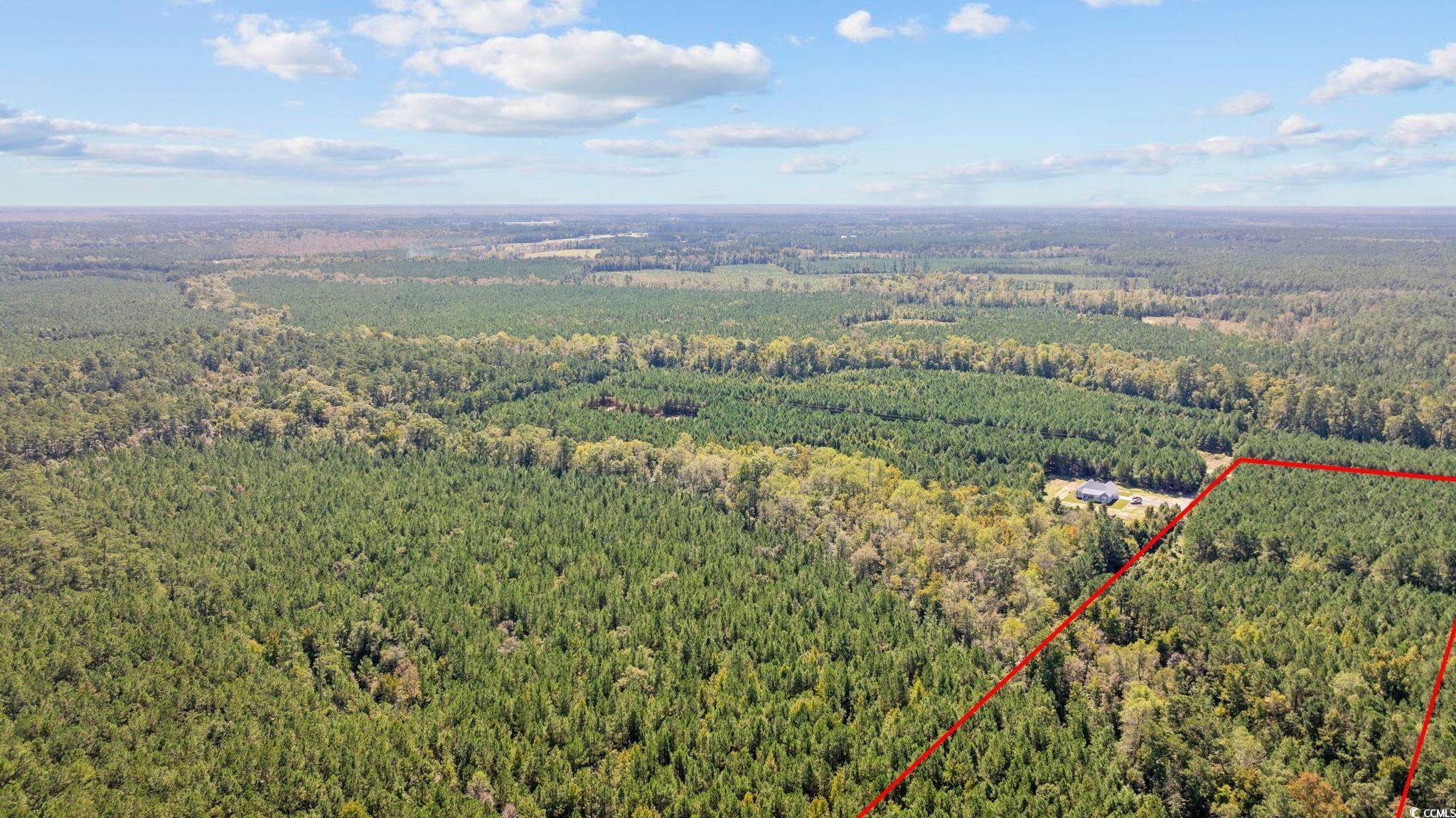 978 Harper Road Conway, SC 29527 - Photo 11 of 27 Drone / aerial view