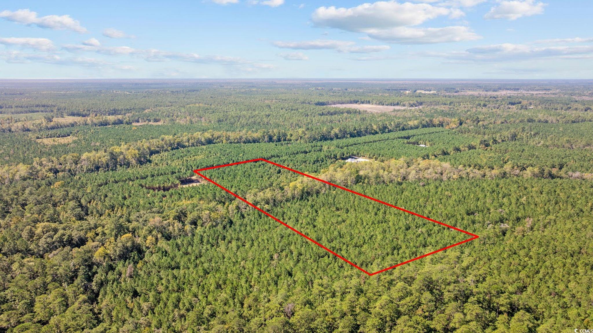 978 Harper Road Conway, SC 29527 - Photo 12 of 27 Aerial view