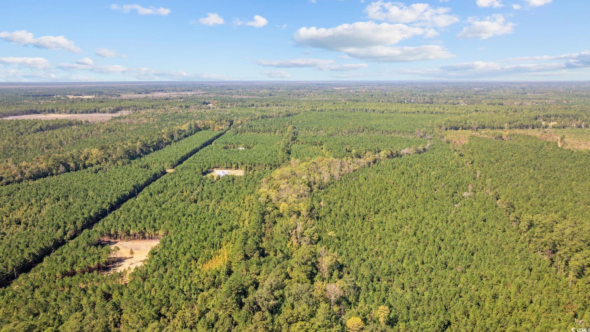 978 Harper Road Conway, SC 29527 - Photo 16 of 27 Drone / aerial view