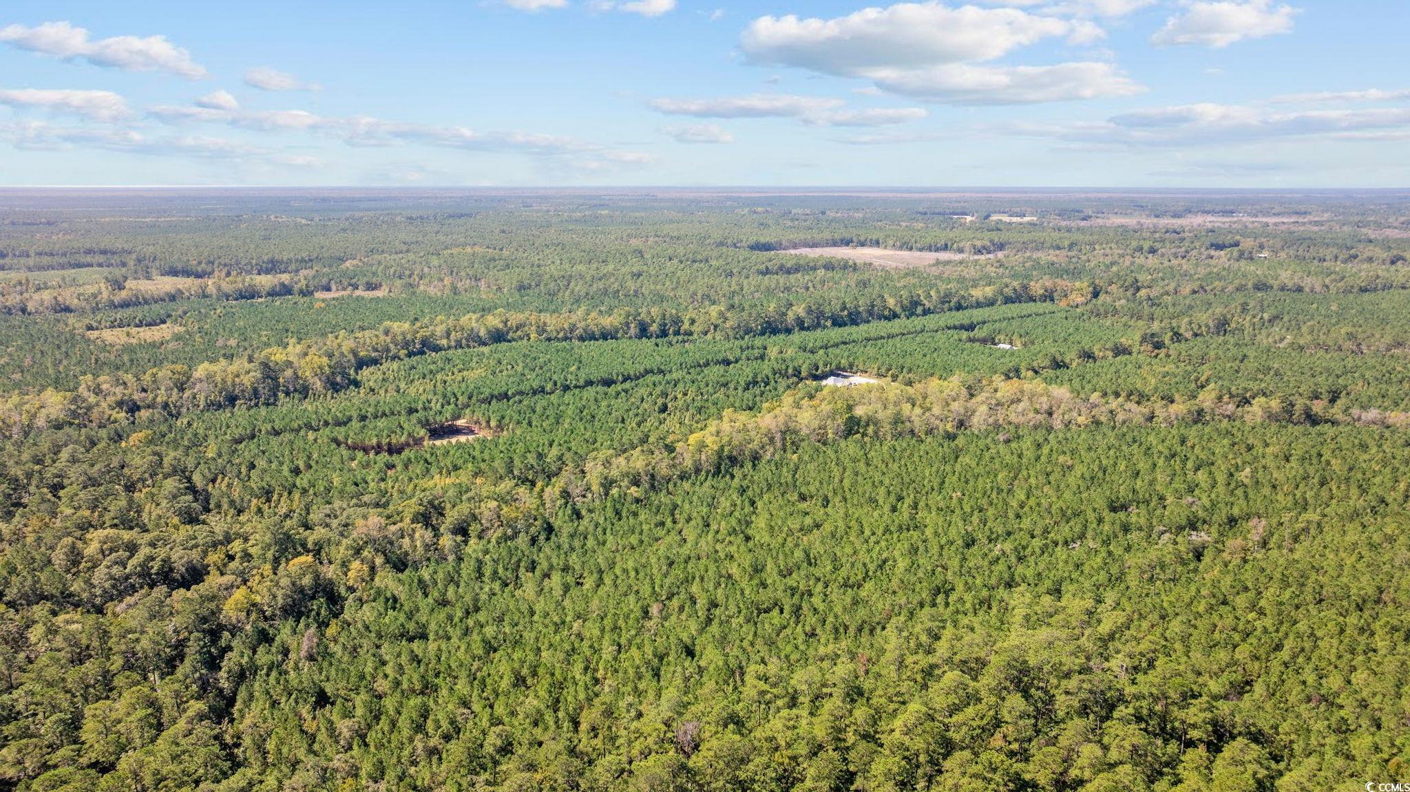 978 Harper Road Conway, SC 29527 - Photo 17 of 27 Birds eye view of property