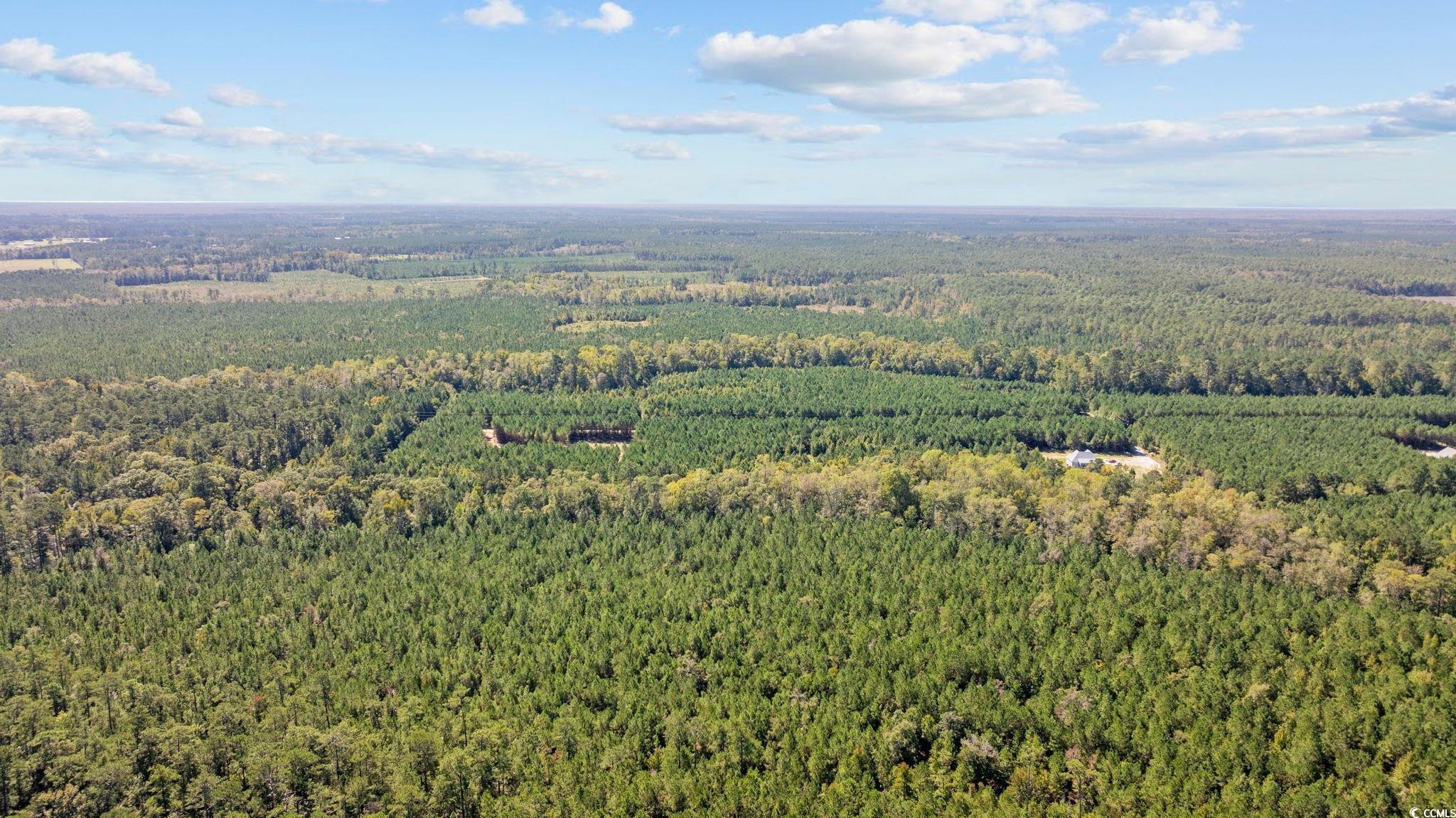 978 Harper Road Conway, SC 29527 - Photo 19 of 27 Bird's eye view