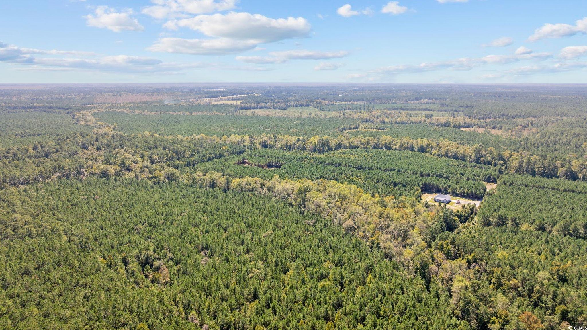 978 Harper Road Conway, SC 29527 - Photo 20 of 27 Drone / aerial view