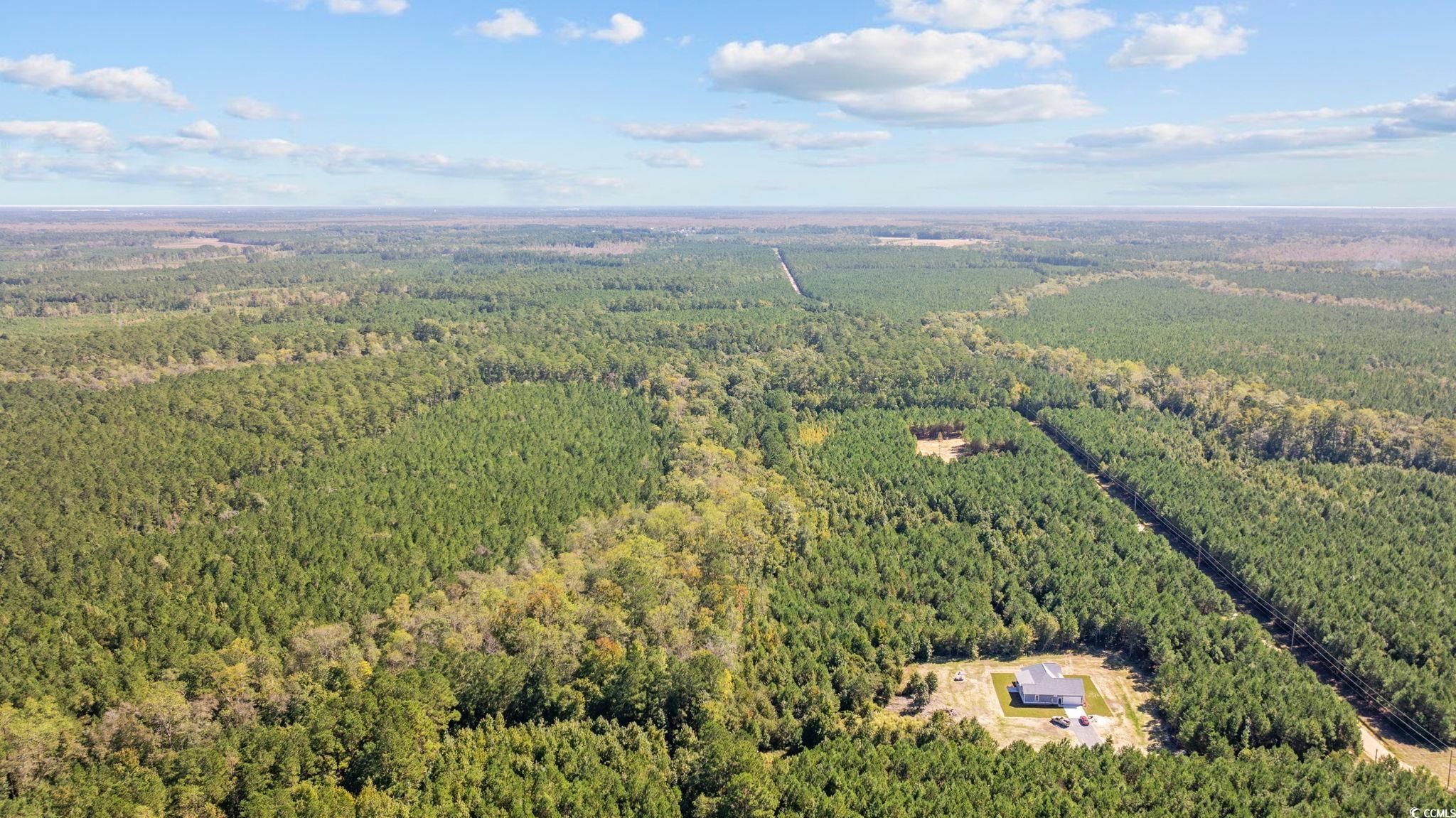 978 Harper Road Conway, SC 29527 - Photo 21 of 27 Drone / aerial view