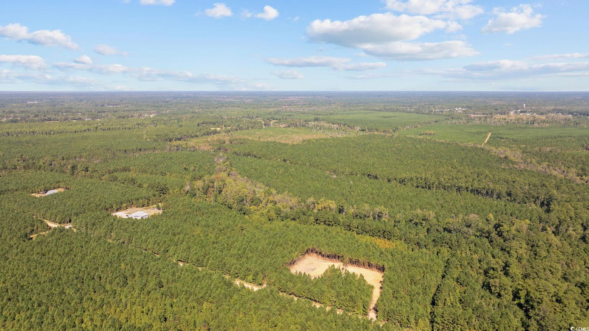 978 Harper Road Conway, SC 29527 - Photo 23 of 27 Birds eye view of property