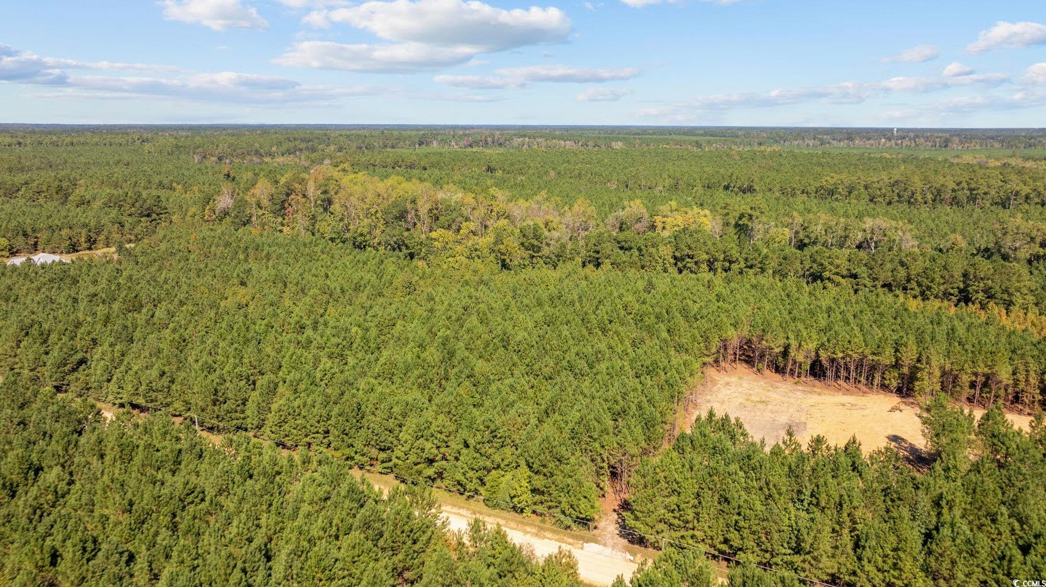 978 Harper Road Conway, SC 29527 - Photo 24 of 27 Aerial view
