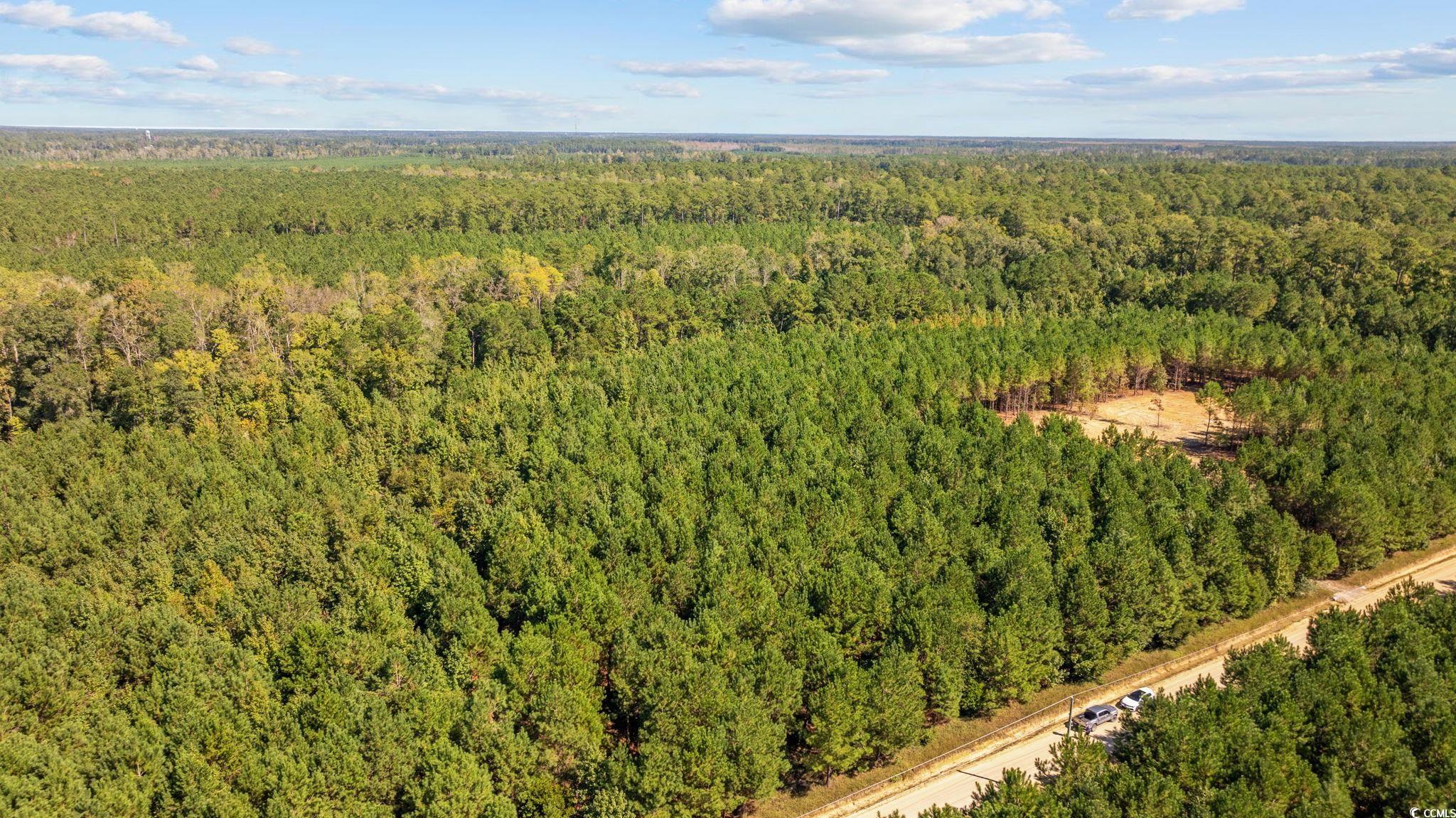 978 Harper Road Conway, SC 29527 - Photo 26 of 27 Aerial view