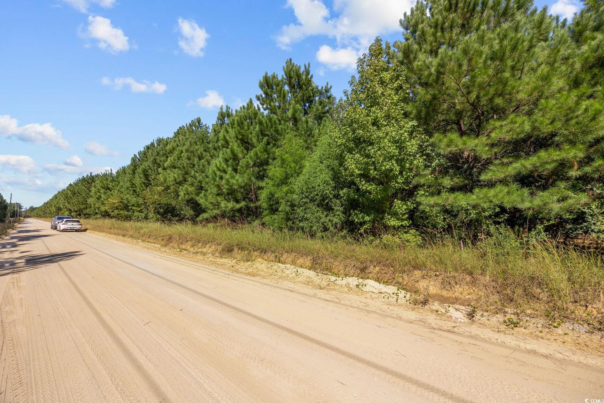 978 Harper Road Conway, SC 29527 - Photo 27 of 27 View of street