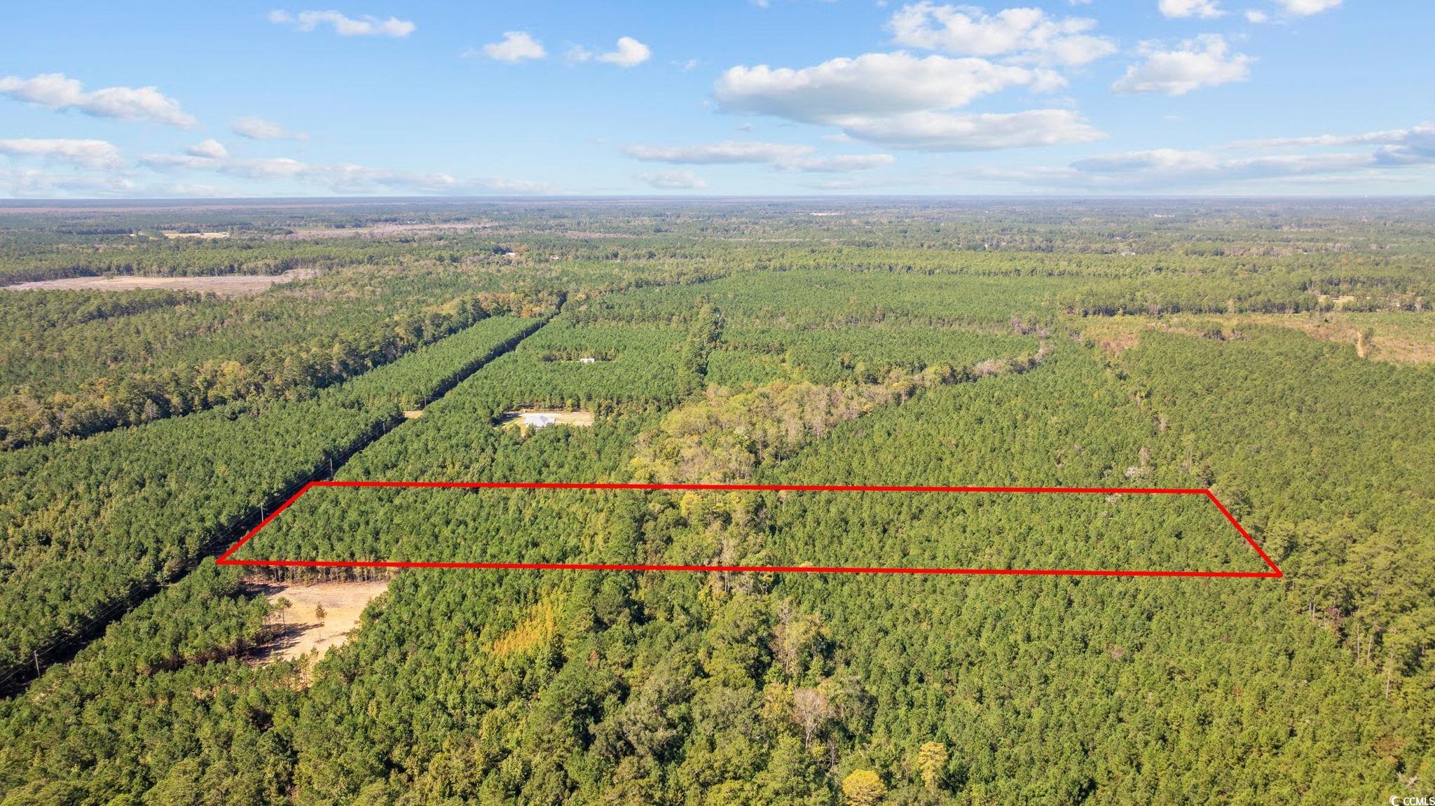 978 Harper Road Conway, SC 29527 - Photo 3 of 27 Bird's eye view