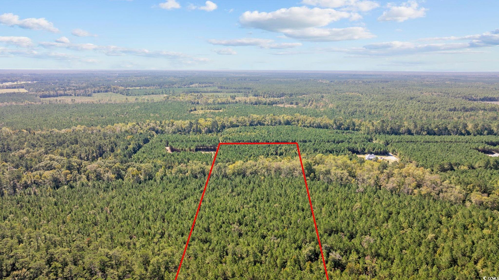 978 Harper Road Conway, SC 29527 - Photo 6 of 27 Birds eye view of property
