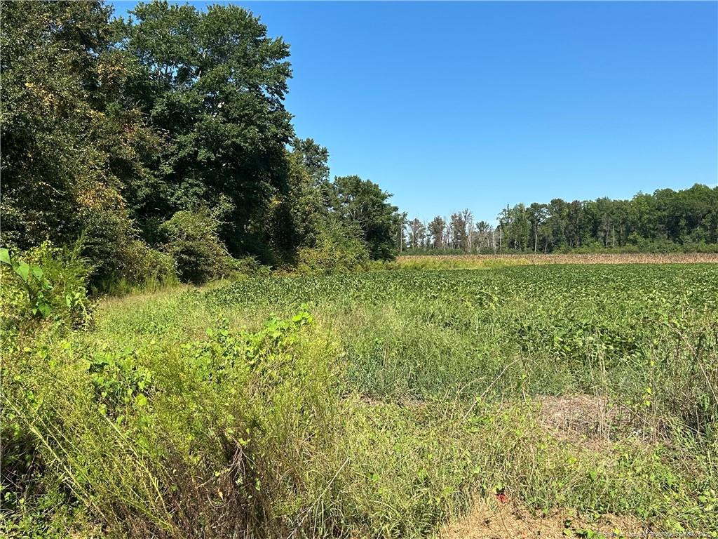 Mcquage Road Raeford, NC 28376 - Photo 2 of 8 a view of a lush green space