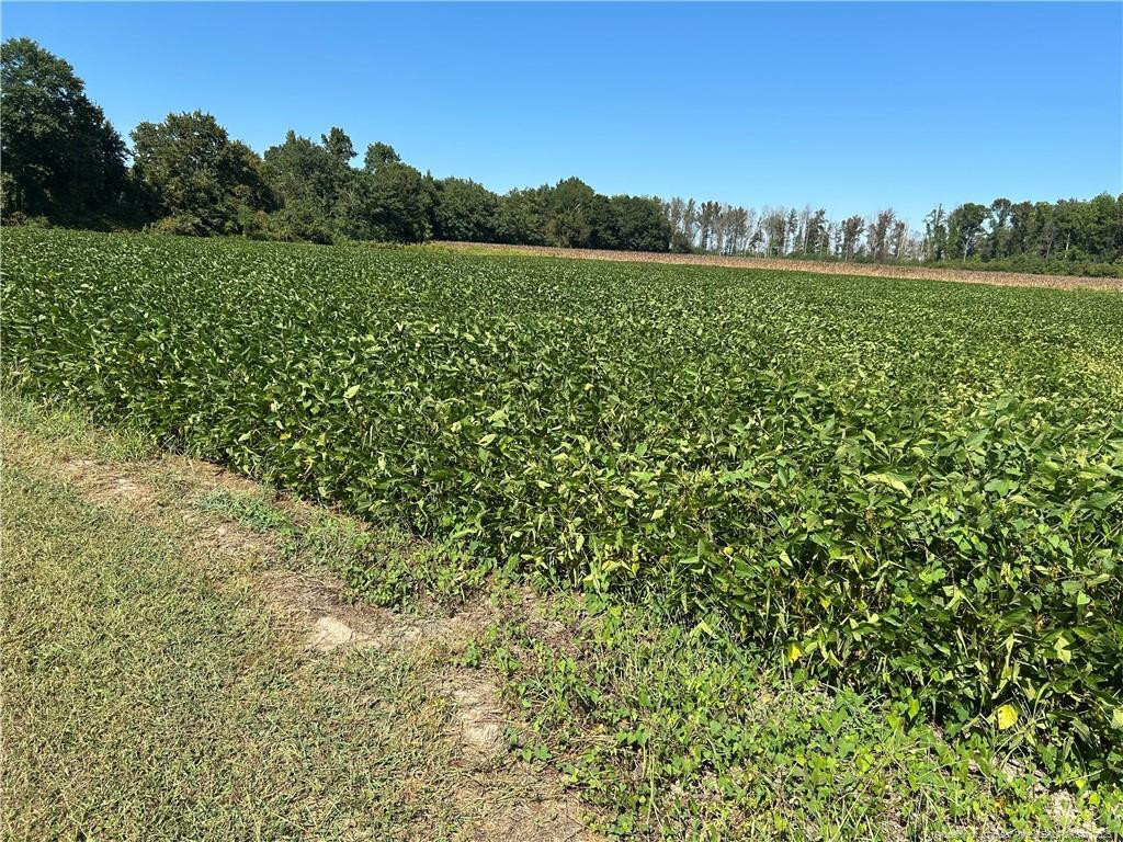 Mcquage Road Raeford, NC 28376 - Photo 3 of 8 a view of a lake with houses