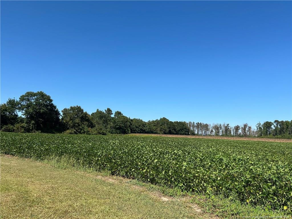 Mcquage Road Raeford, NC 28376 - Photo 4 of 8 a view of a garden with mountain