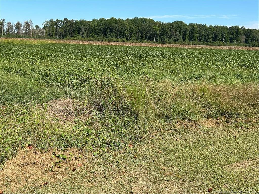 Mcquage Road Raeford, NC 28376 - Photo 5 of 8 a view of field with trees in the background