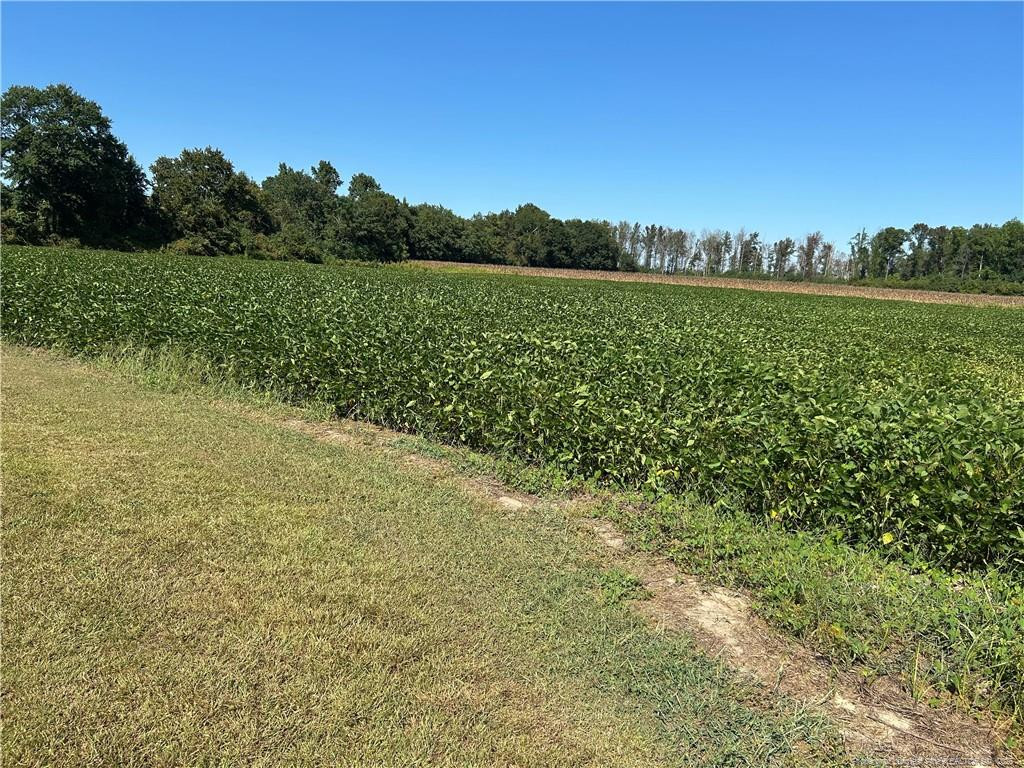 Mcquage Road Raeford, NC 28376 - Photo 6 of 8 a view of outdoor space and mountain view