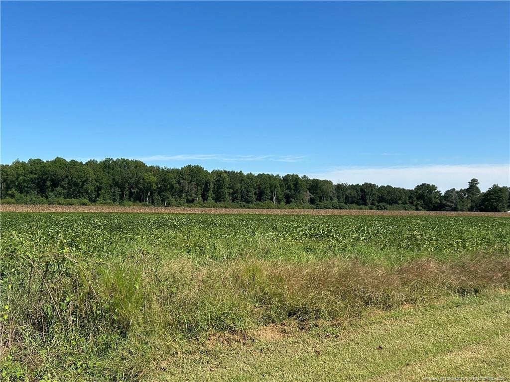 Mcquage Road Raeford, NC 28376 - Photo 7 of 8 a view of a lake with a yard