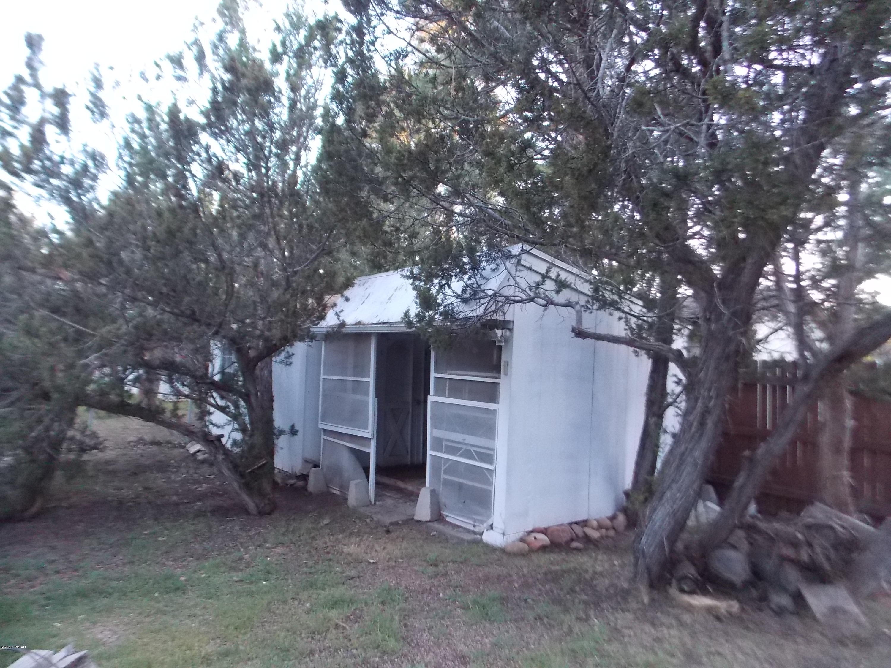 1983 Rustling Pine Drive Overgaard, AZ 85933 - Photo 14 of 19