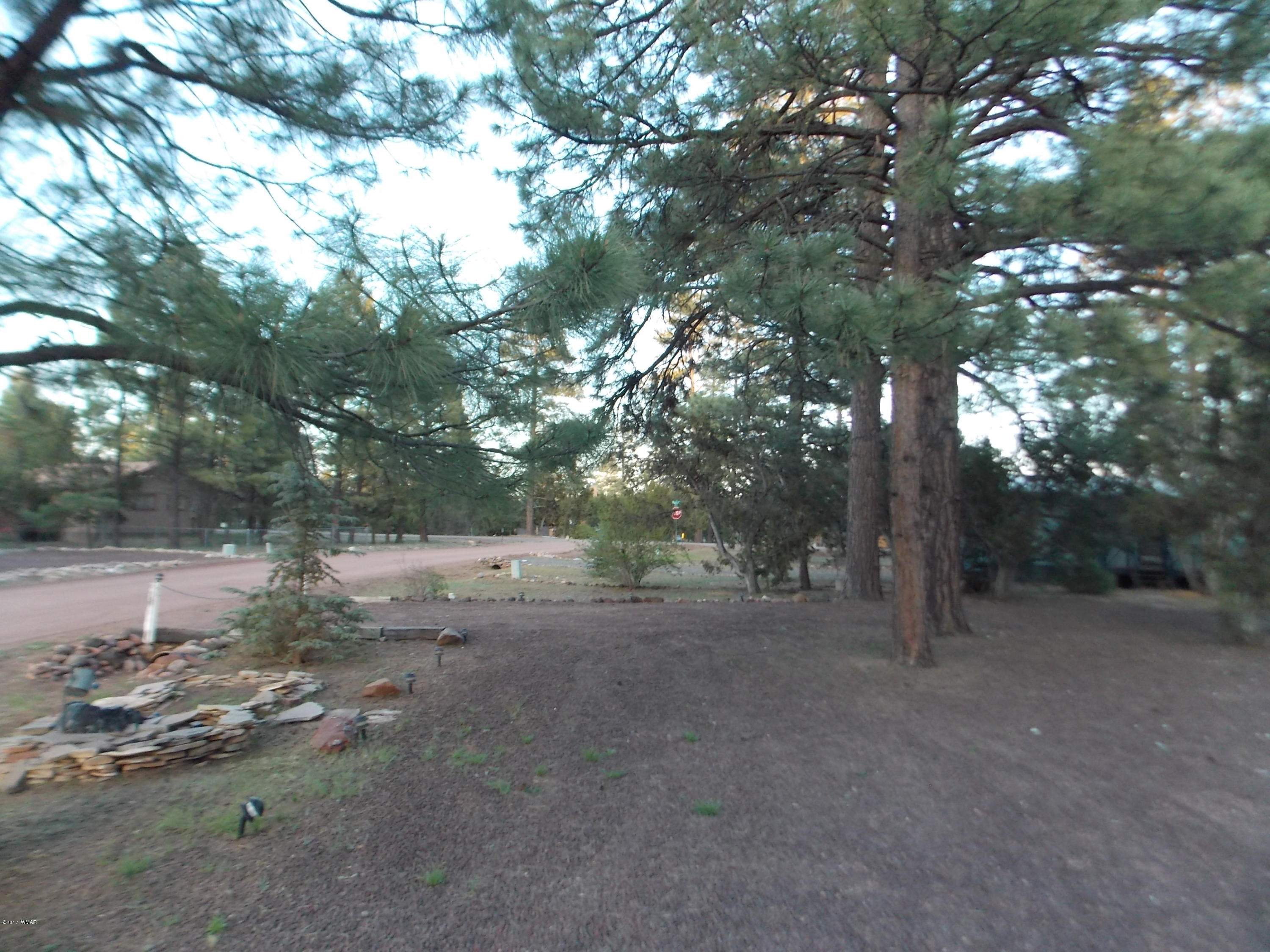 1983 Rustling Pine Drive Overgaard, AZ 85933 - Photo 16 of 19