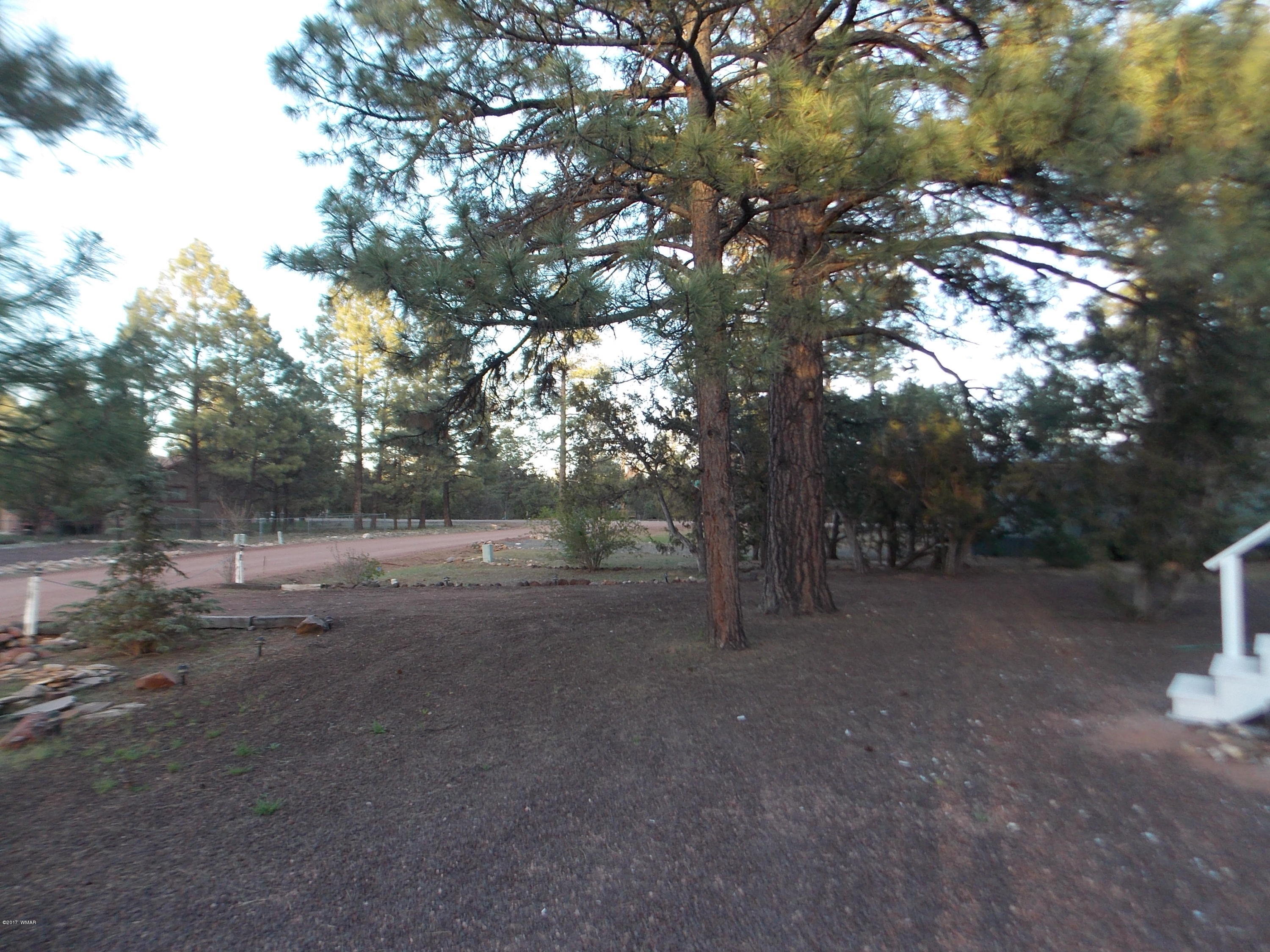 1983 Rustling Pine Drive Overgaard, AZ 85933 - Photo 17 of 19
