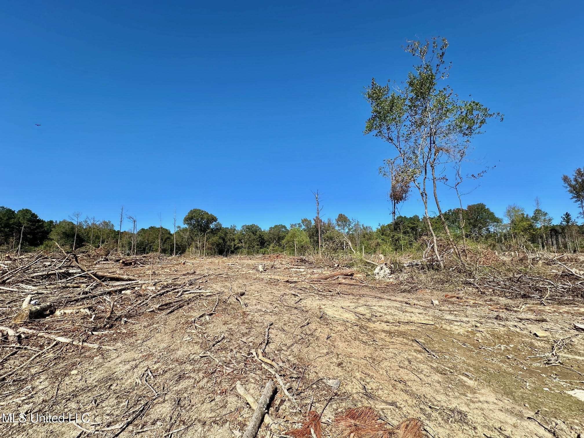 0 Pleasant Lane Wesson, MS 39191 - Photo 12 of 22 303