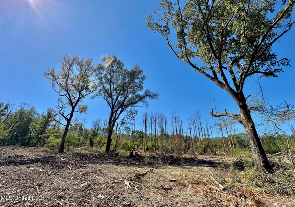 $83,000 | 0 Pleasant Lane, Wesson, MS 39191