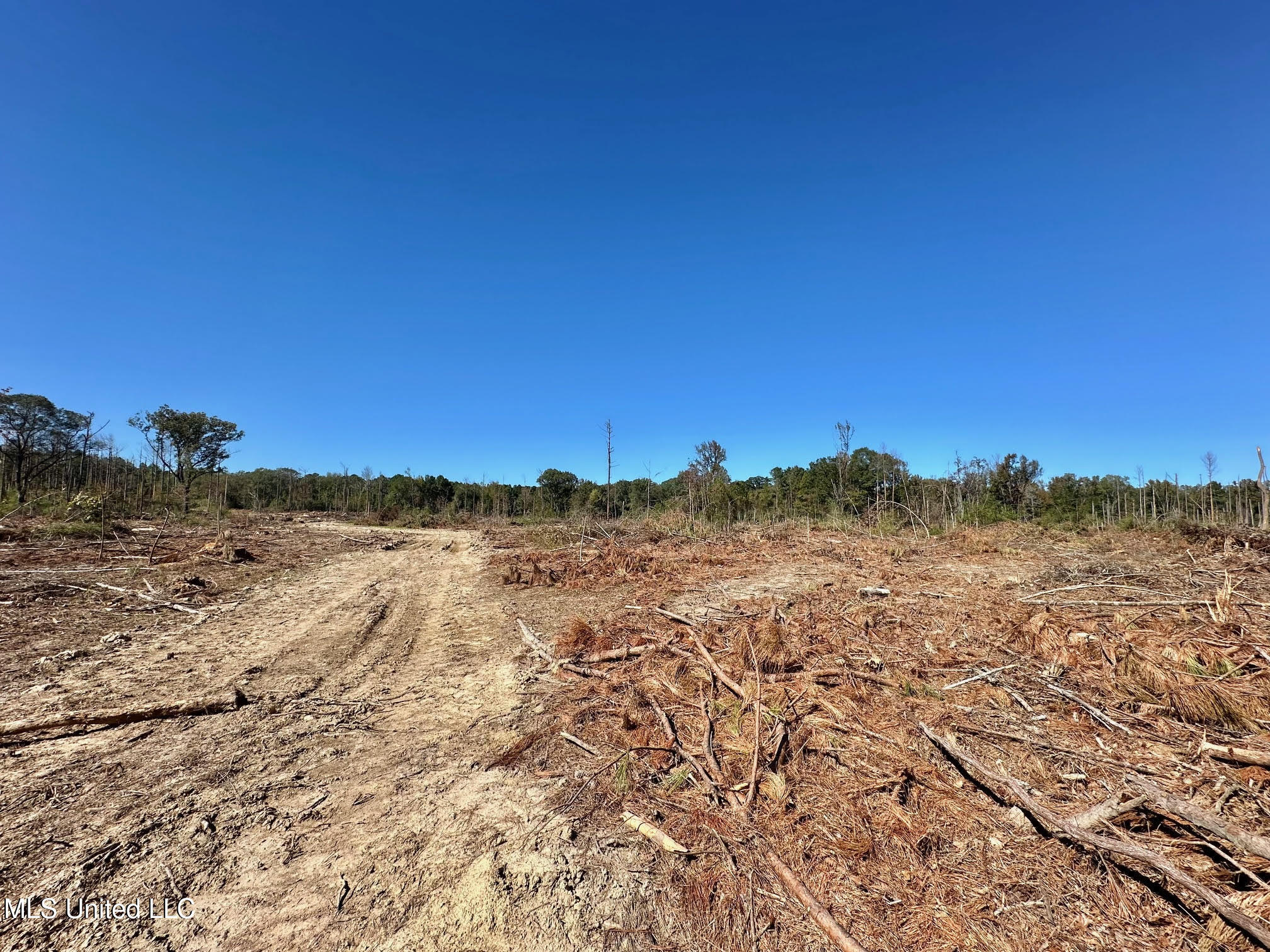 0 Pleasant Lane Wesson, MS 39191 - Photo 14 of 22 305