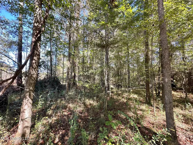 $83,000 | 0 Pleasant Lane, Wesson, MS 39191