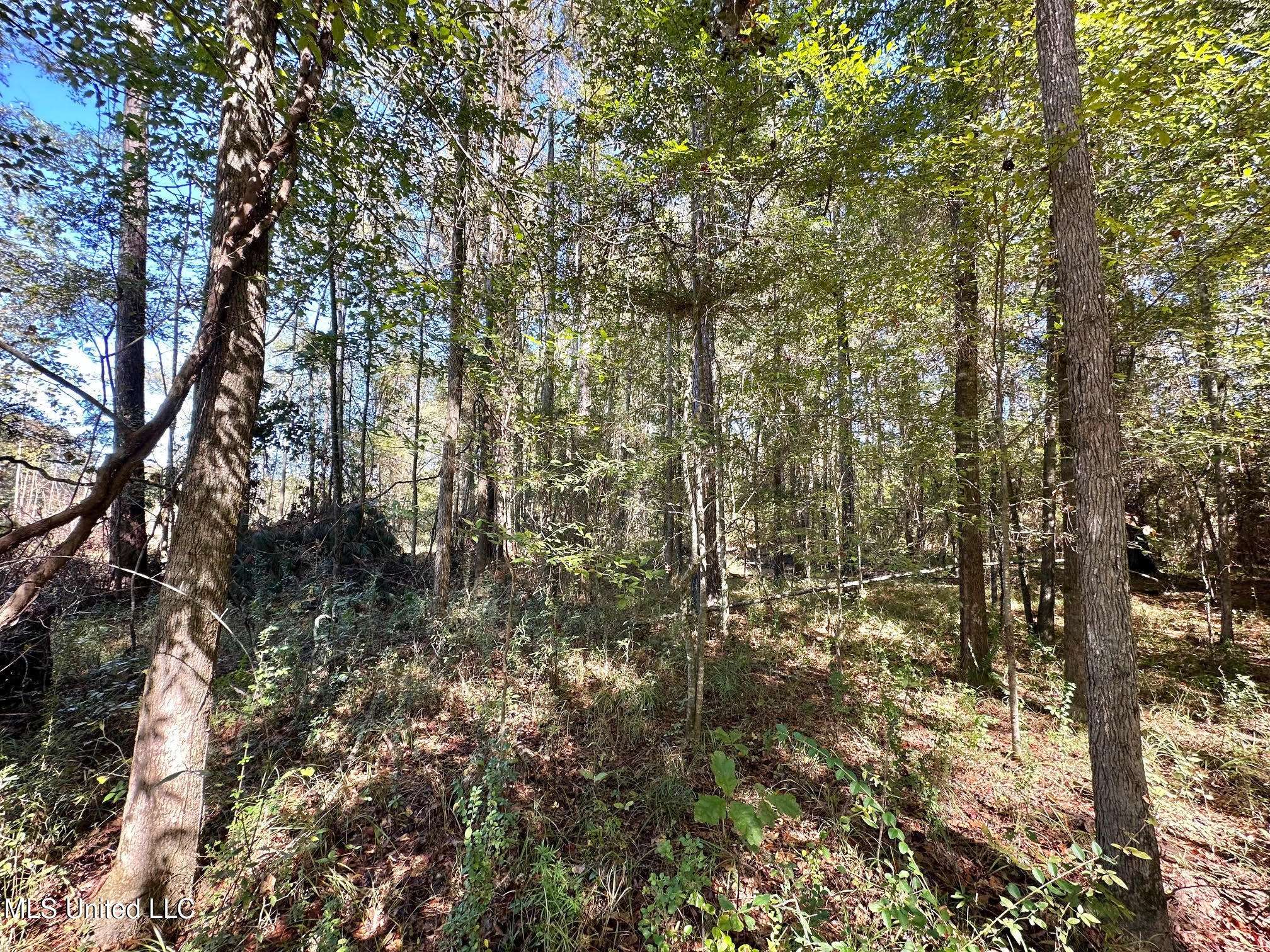 0 Pleasant Lane Wesson, MS 39191 - Photo 15 of 22 306