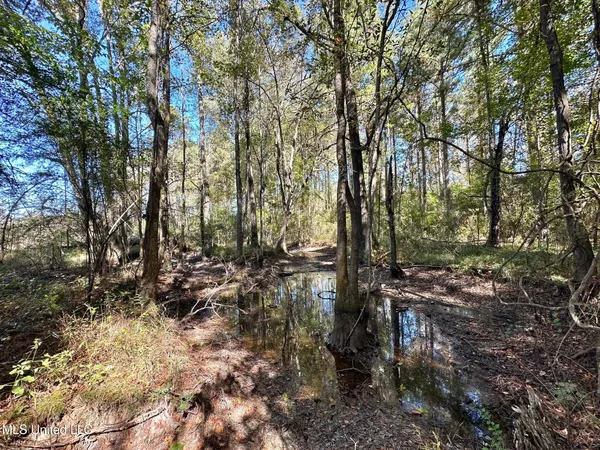 $83,000 | 0 Pleasant Lane, Wesson, MS 39191