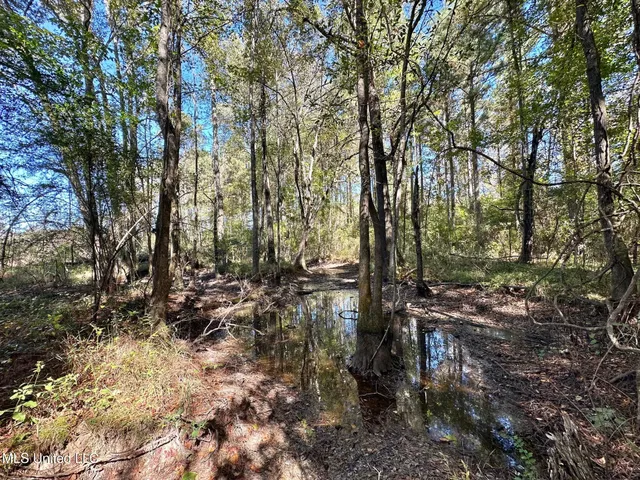 $83,000 | 0 Pleasant Lane, Wesson, MS 39191