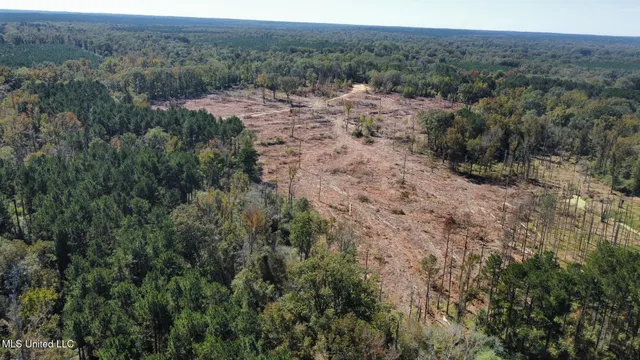 $83,000 | 0 Pleasant Lane, Wesson, MS 39191