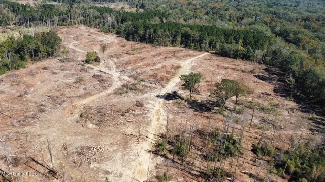 $83,000 | 0 Pleasant Lane, Wesson, MS 39191