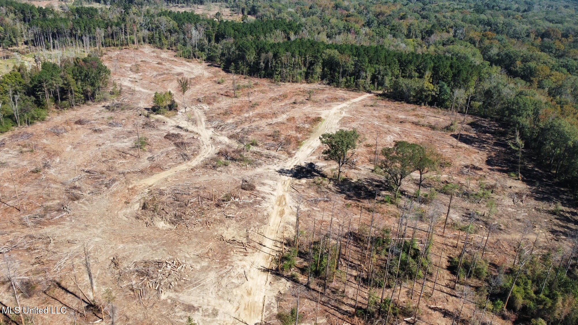 0 Pleasant Lane Wesson, MS 39191 - Photo 22 of 22 340