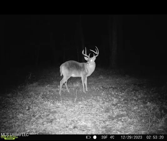 $83,000 | 0 Pleasant Lane, Wesson, MS 39191